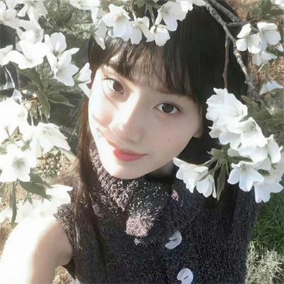 偕老 海报