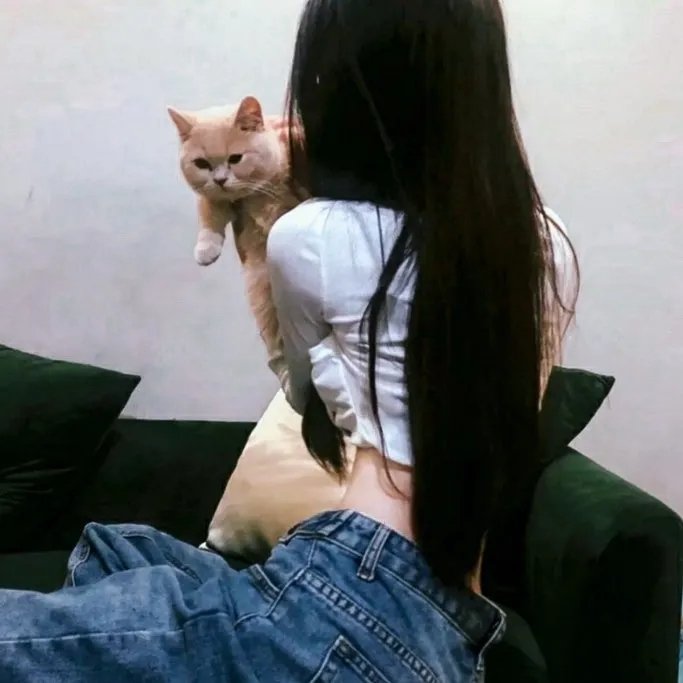 犬吠 海报
